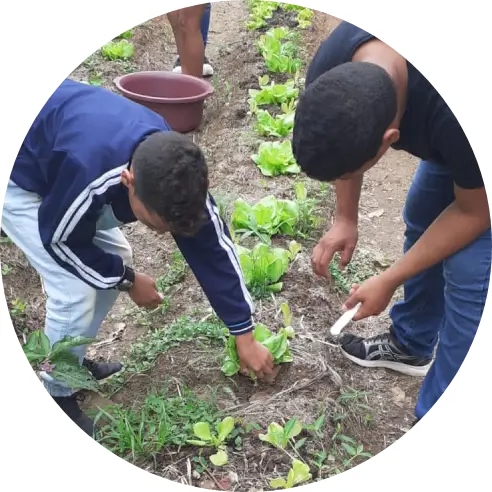 Foto de dois meninos abaixados trabalhando em uma horta.
