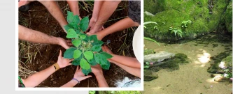 Plante essa ideia-Gerência Agropecuária-LRV
