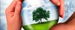 Jogo da Sustentabilidade - Meio Ambiente