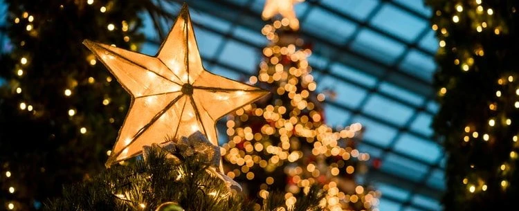 Natal Encantado- Voluntários Campos Novos-SC