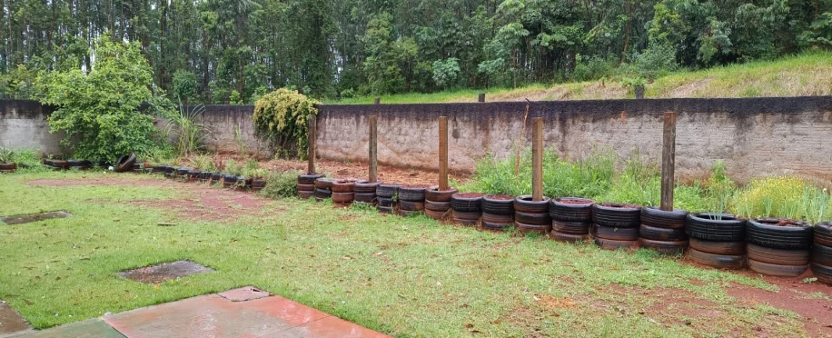 Revitalização da Horta Escolar no CMEI Mundo Feliz