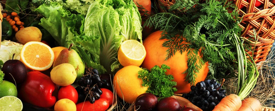 Alimentando e Evitando o Desperdício