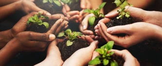 Ação meio ambiente CNO - Nº 01