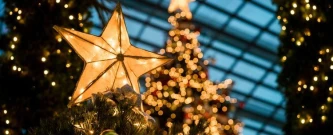 Natal Encantado- Voluntários Campos Novos-SC