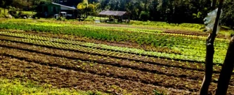 Ação do Meio Ambiente - Curitiba - Associação Projeto Taquari