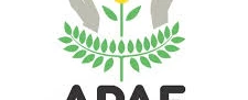 Triagem e entrega de doações para APAE e Abrigo Bezerra de Menezes