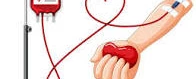 Doação de Sangue 05/2024