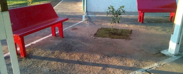 Revitalização Jardim e Horta Escola Salto do Lontra