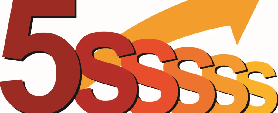 5s nas escolas