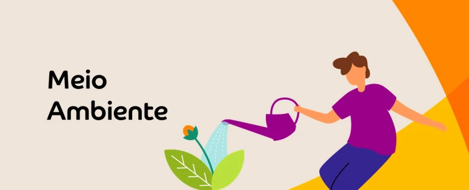 Sensibilização Ambiental  e Doação de Sementes