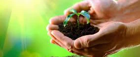 Meio Ambiente -Plante esta idéia