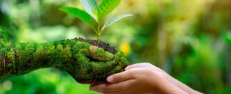 Ação meio ambiente CNO - Nº 03