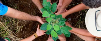 Ação do Meio Ambiente - Curitiba - Associação Sonhar