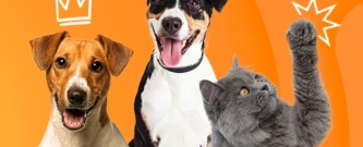 PET - EU AMO, EU CUIDO!
