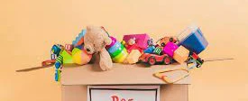 Doação de Brinquedos