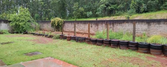 Revitalização da Horta Escolar no CMEI Mundo Feliz