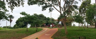 Meio Ambiente em Ação