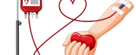 Doação de Sangue - Serafina Corrêa