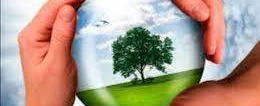 Jogo da Sustentabilidade - Meio Ambiente